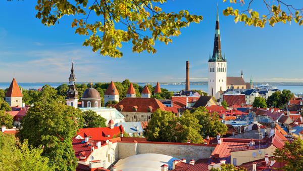 INO and Estonia: Mutual Empowerment in the Digital Era